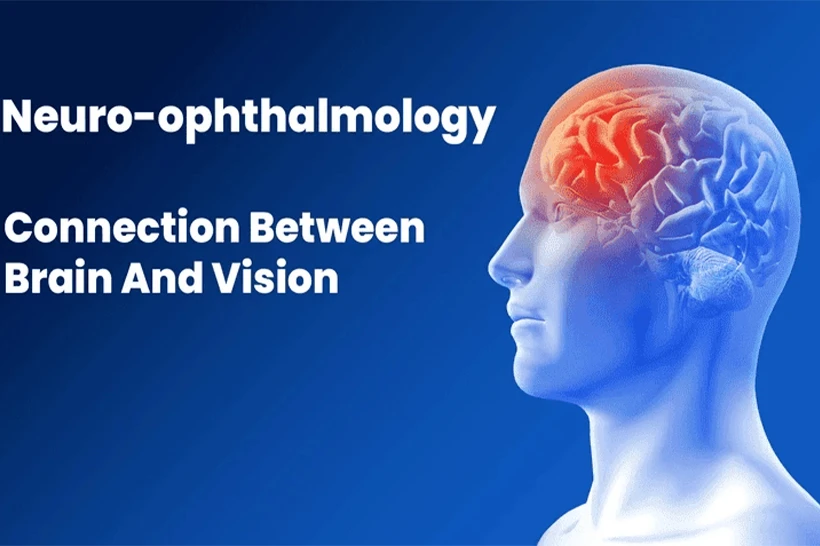 Neuro Ophthalmology